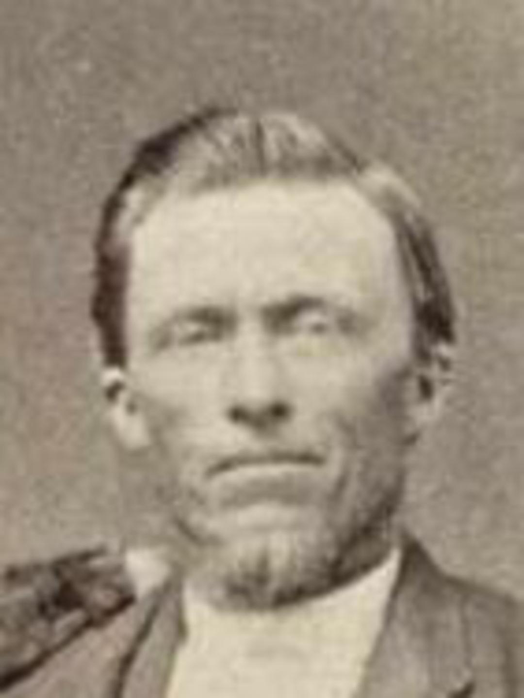 James Moroni Thomas (1841 - 1919) Profile